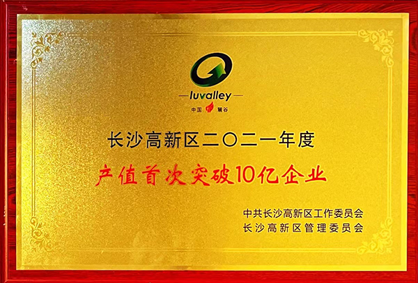 長沙高新區(qū)二〇二一年度產(chǎn)值首次突破10億企業(yè)
